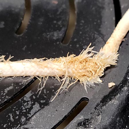 Roots grown into the ropes of the auto-watering pot bases - GrowWeedEasy.com