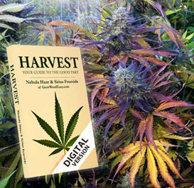 Check out our new cannabis harvest book, your complete guide to harvest, by Nebula Haze & Sirius Fourside of GrowWeedEasy.com