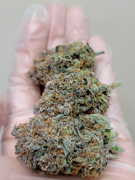 Candy Games buds in hand