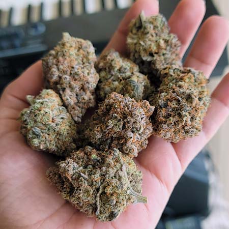 The buds were so round!