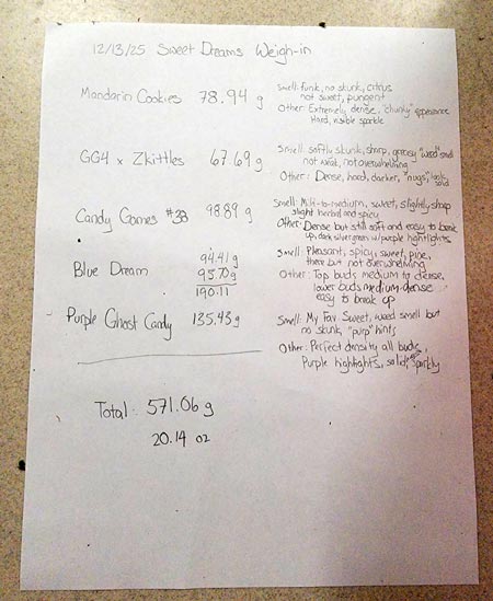 Sweet Dreams cannabis yield weigh-in results (final dry weight)