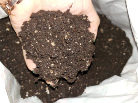 Great cannabis soil