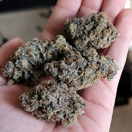 Fat Purple Ghost Candy nugs in hand