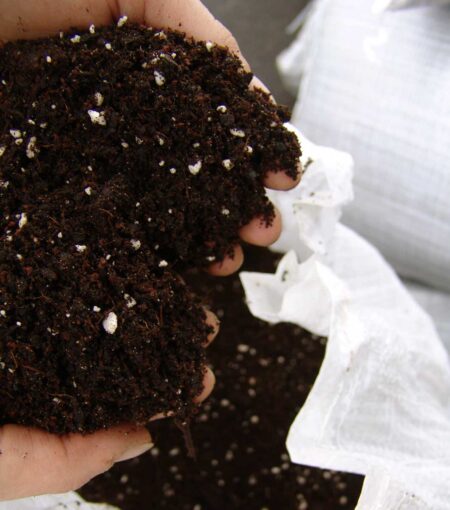 Rich soil for growing cannabis