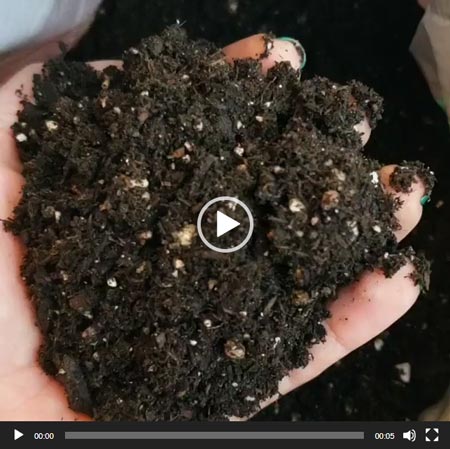 See a video of good soil