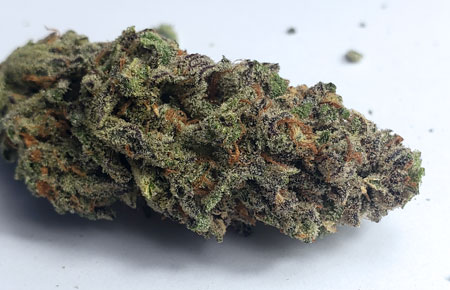 Nug on white background