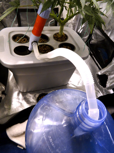 Example of changing the hydro reservoir with a water transfer pump