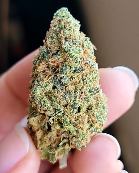 Nug is wonderfully dense after drying/curing