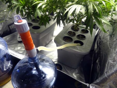 A liquid transfer pump is convenient to move water in hydro