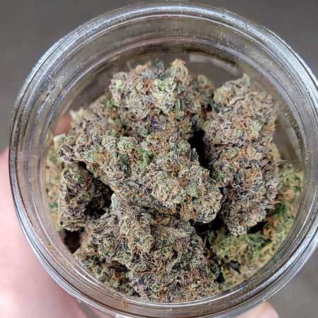 Purple Ghost Candy cannabis buds in jar