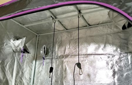 Rope ratchets hanging from the top of the cannabis grow tent