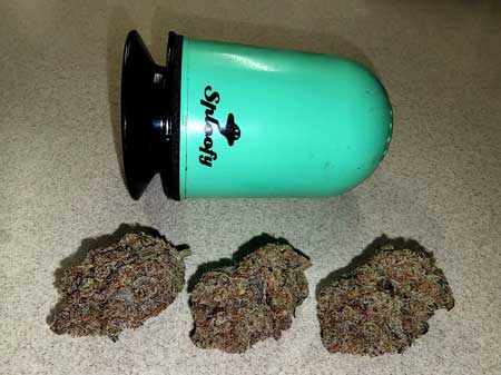 Sploofy with some weed nugs to enjoy