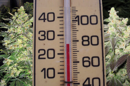 A thermometer - Temperature is important when growing cannabis indoors