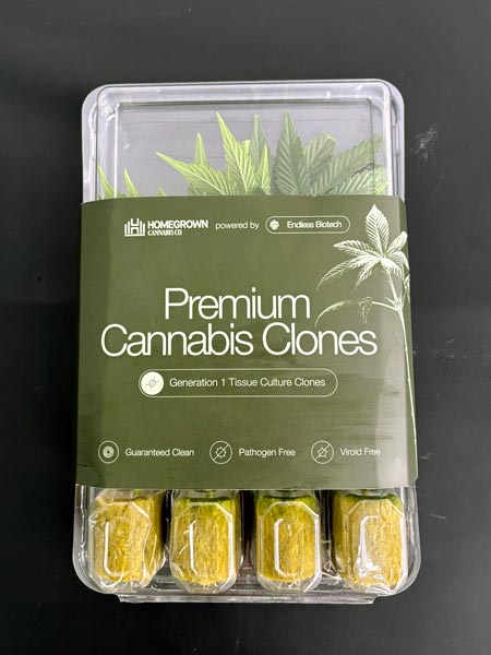 Homegrown cannabis clones - example of mail packaging
