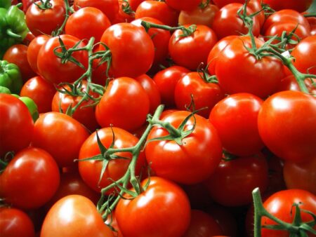 Tomatoes at the grocery store are almost all grown from F1 hybrid seeds