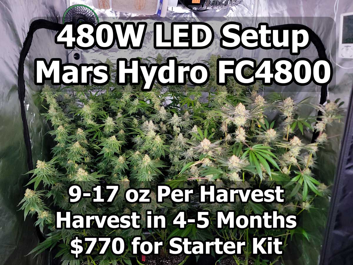 Cannabis 480W LED Home Grow Setup (1+ lb possible) | Grow Weed Easy