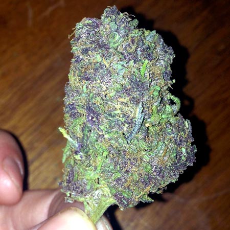 Example of a green and purple cannabis bud in hand