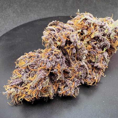 Purple Haze Auto by Fastbuds (bud closeup)